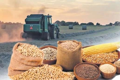 Tarım-ÜFE 2025'in son ayında da güçlü seyrini sürdürdü